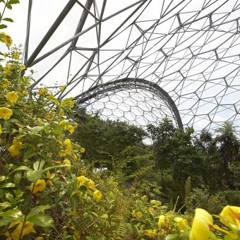 Inside the Eden Project's Rainforest Biome